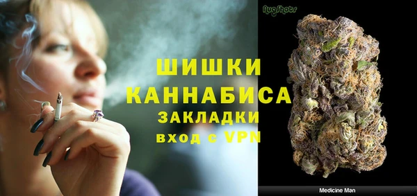 мдпв Пересвет