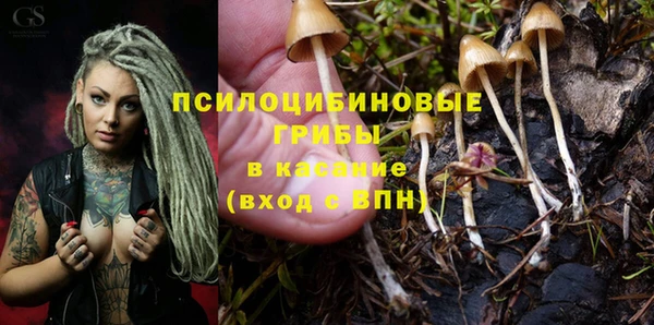 хмурый Алексеевка