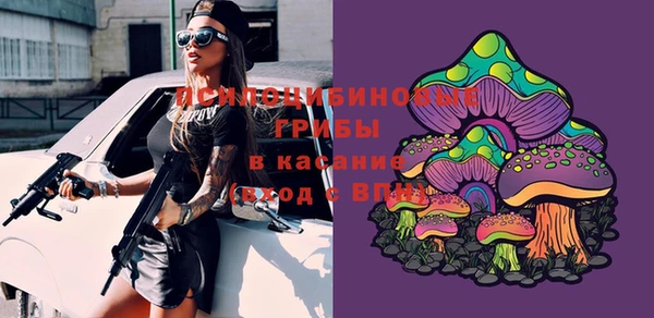 прущая мука Гусь-Хрустальный